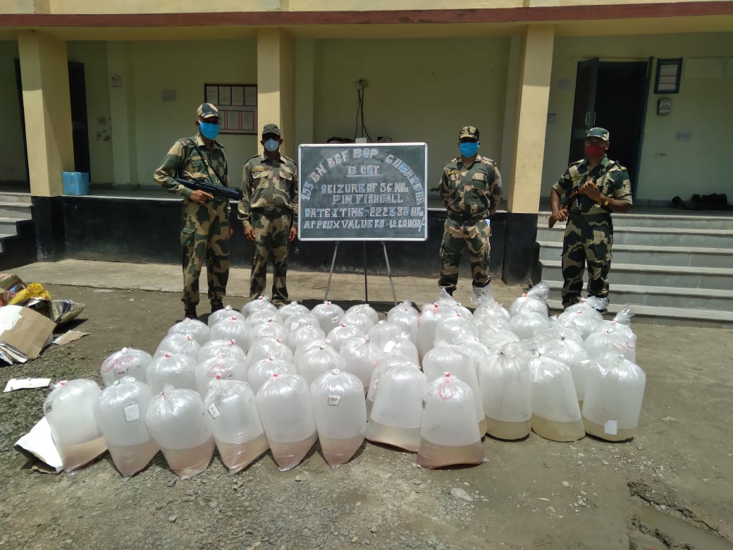 বাগদায় মাছের পিন উদ্ধার করলো বিএসএফ । পাচারকারী পলাতক