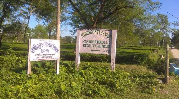 আলিপুরদুয়ার  চা বাগানের শ্রমিক, বিক্ষোভ-থানা ভাঙচুর রণক্ষেত্র আলিপুরদুয়ার