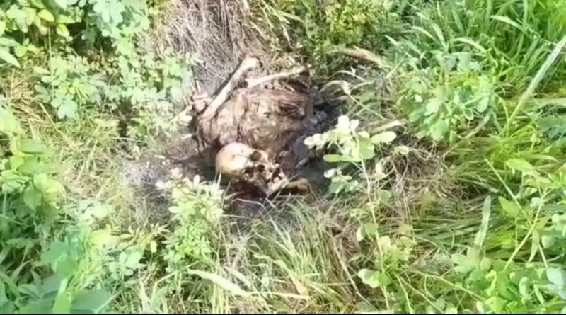 উত্তর ২৪ পরগনার শ্যামনগরে গুড়দহ ঋষি অরবিন্দ স্কুলের মাঠে কঙ্কাল