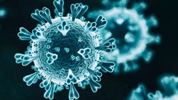 দেশে দৈনিক করোনা আক্রান্তের সংখ্যা বেড়ে ১৩,১৫৪, ওমিক্রন আক্রান্তের সংখ্যা ১০০০ প্রায়