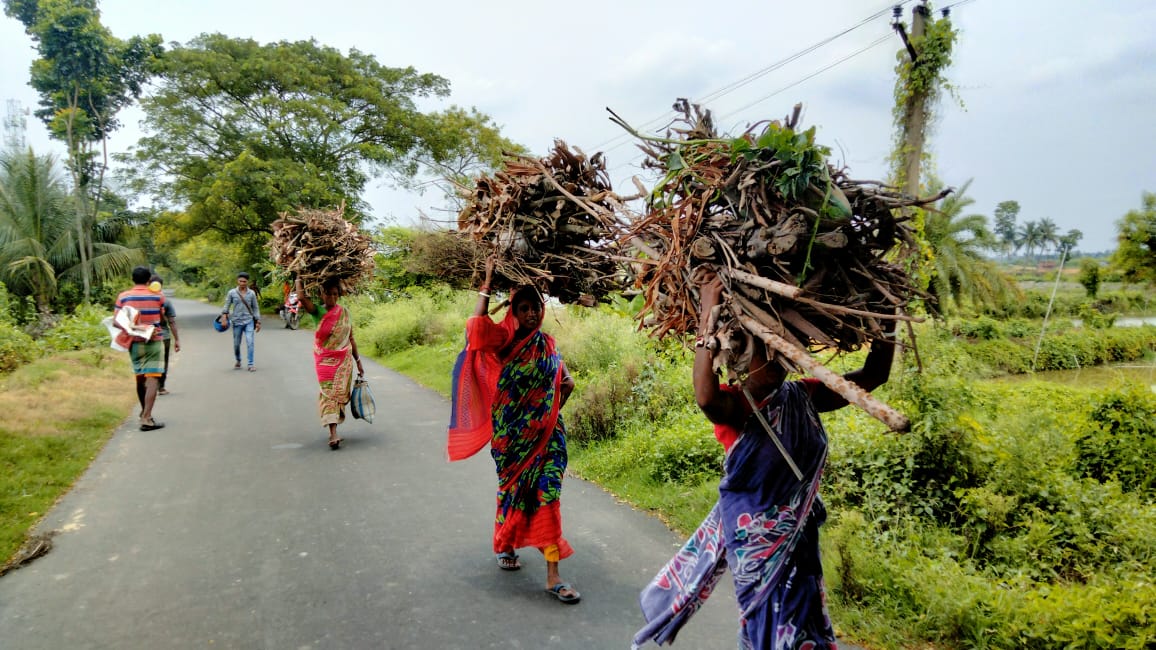 গ‍্যাসের দাম আকাশছোঁয়া! নদীর পাড়ের জঙ্গল কতদিন শুকনো কাঠের জোগান দেবে?