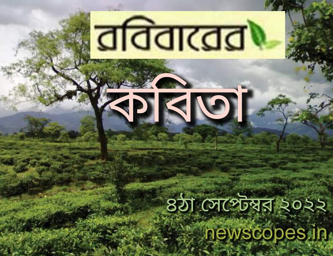 কবিতা, আগডুম বাগডুম, মুগ্ধতার বেলাভূমি