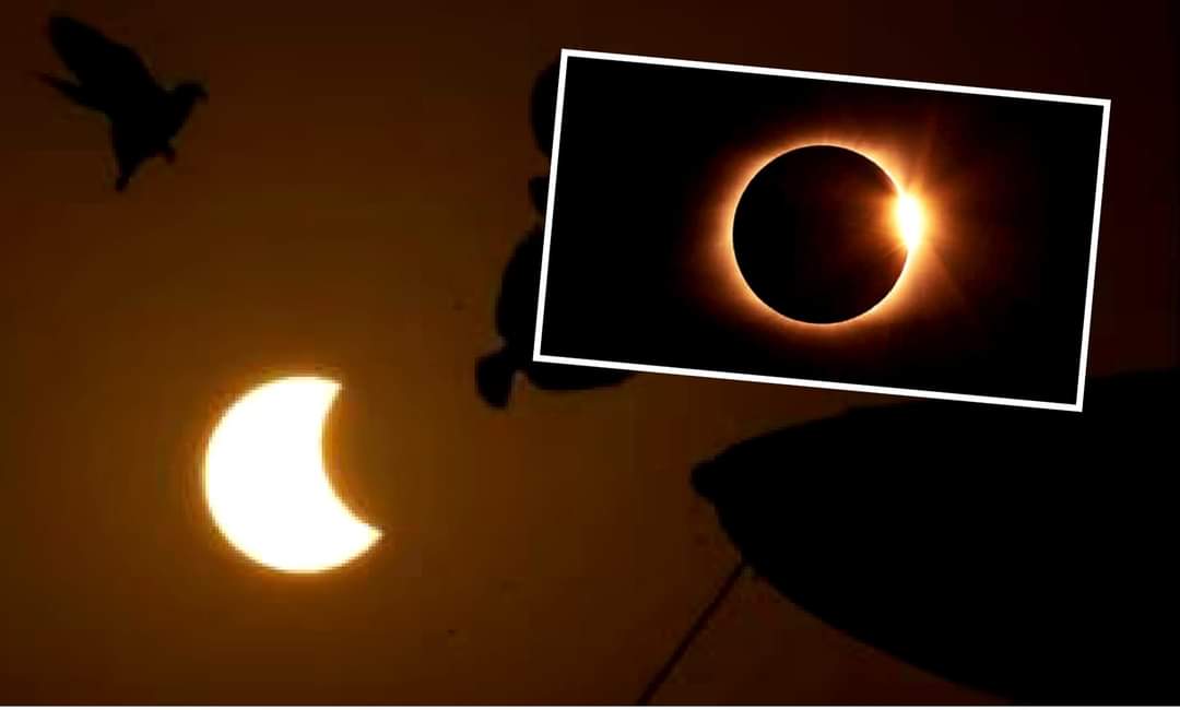 বছরের শেষ সূর্যগ্রহণ, বহু দেশ সাক্ষী থাকল বছরের শেষ গ্রহণের,