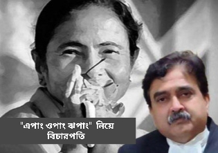 ‘এপাং ওপাং ঝপাং, ___;  কবিতা কেউ পড়বে?’, প্রশ্নে বিচারপতি গঙ্গোপাধ্যায়ের