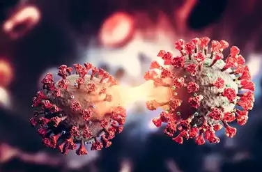 কোভিডের নয়া ভ্যারিয়েন্ট JN.1 নিয়ে বিরাট উদ্বেগে বিজ্ঞানীরা