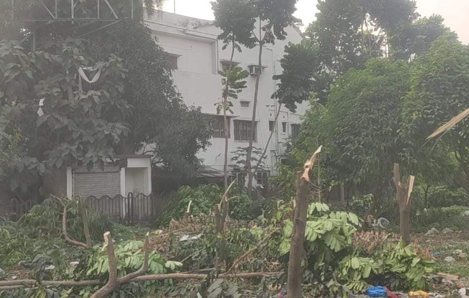 ভিআইপি রোড জুড়ে অব্যাহত বৃক্ষ নিধন - বিজ্ঞান মঞ্চের প্রতিবাদ