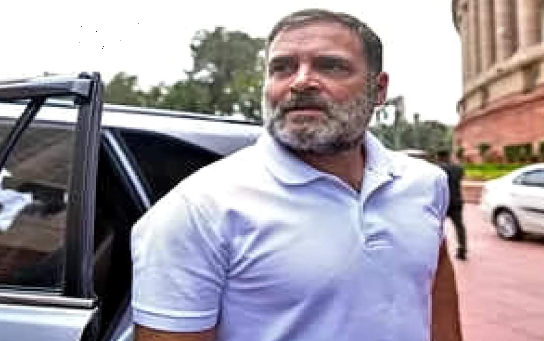 "সস্তায় প্রচারই লক্ষ " শাহকে অবমাননা মামলায় আদালতে রাহুল