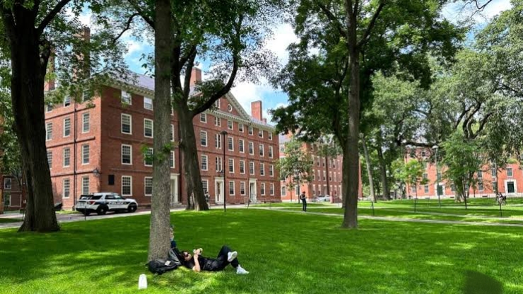 হাভার্টে বিদেশী ভর্তি বাতিলের ট্রাম্পের সিদ্ধান্তের বিরুদ্ধে নিষেধাজ্ঞা মার্কিন আদালতের