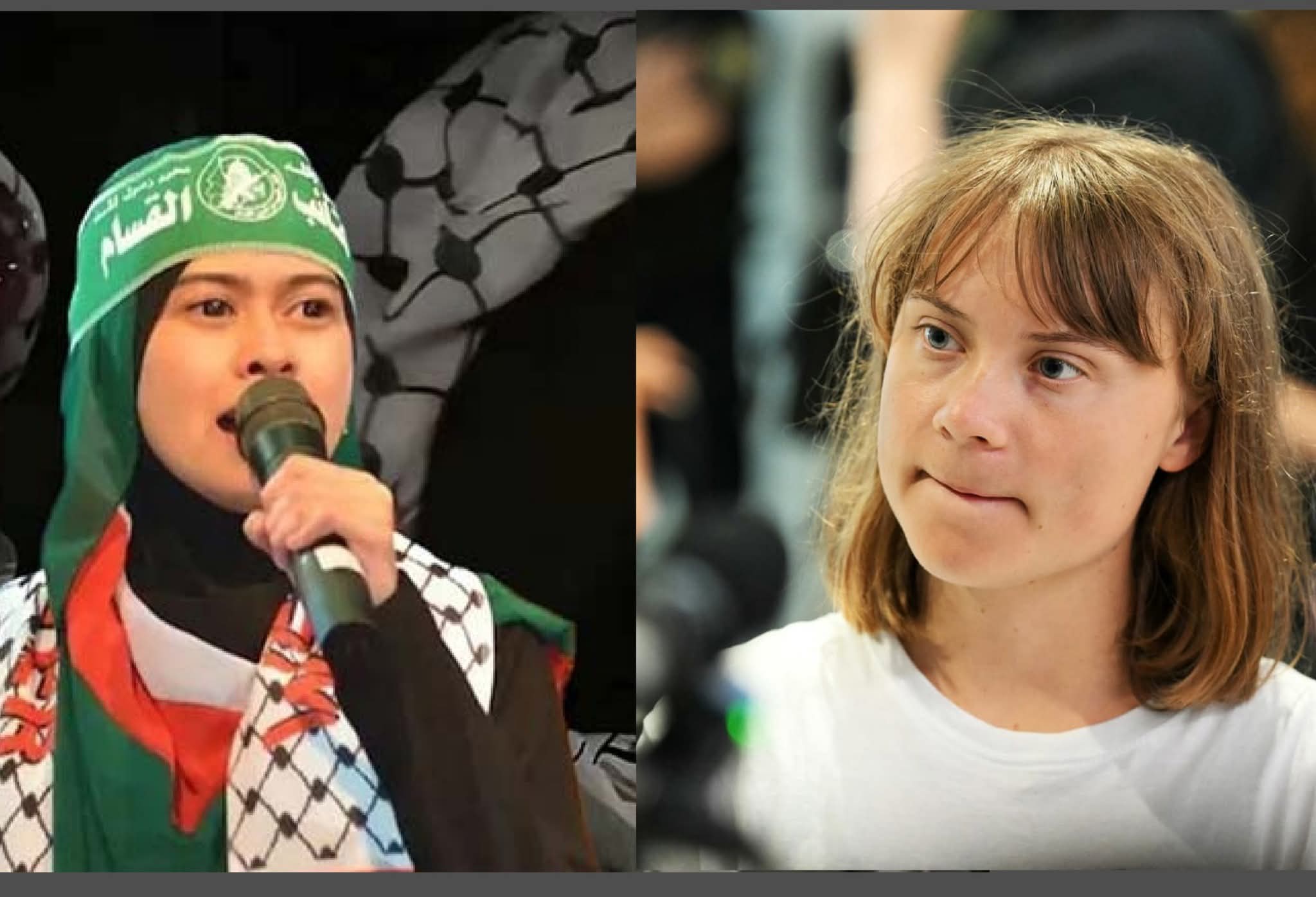 গ্রেটা সহ, ফ্লোরিডা মানবাধিকার কর্মীদের সাথে ইজরায়েল সেনারা পশুর মত ব‍্যবহার করল