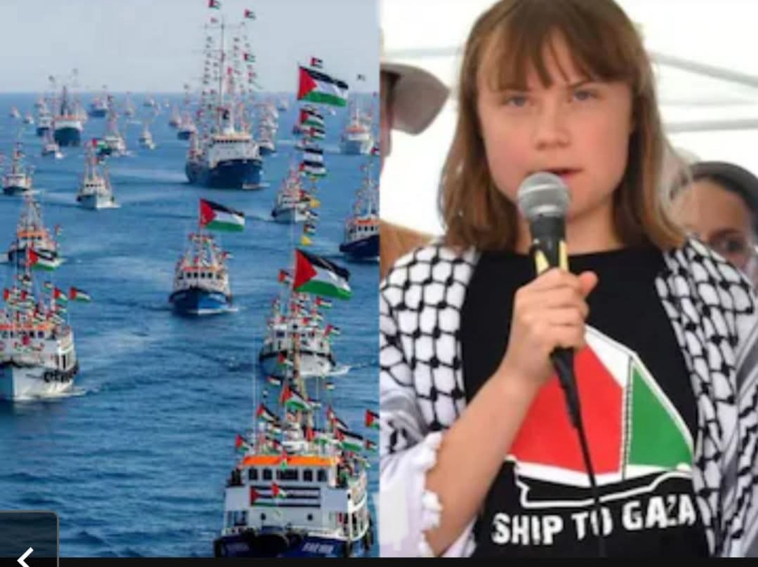 মার,লাথি লাগেজের গায়ে অশ্লীল শব্দ.. ইজরায়েলি সেনার অকথ্য অত্যাচারের কথা জানালেন গ্রেটা