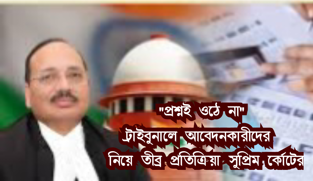 ট্রাইব্যুনালে আবেদনকারীর ভোটাধিকার? 'প্রশ্নই ওঠে না'! সুপ্রিম কোর্টের স্পষ্ট বার্তা 